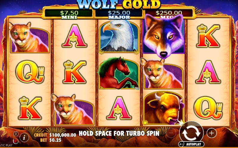 vì sao wolf gold được yêu thích tại x8